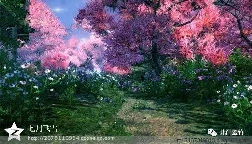 芭比公主四元素装