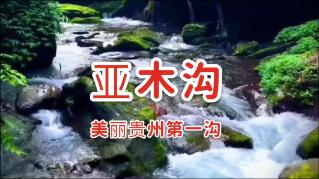 扬州移动千里眼云眼卫士助力连锁药店安防服务