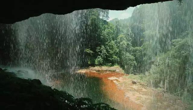 动物帮帮忙保卫家园